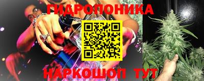 бошки Вышний Волочёк