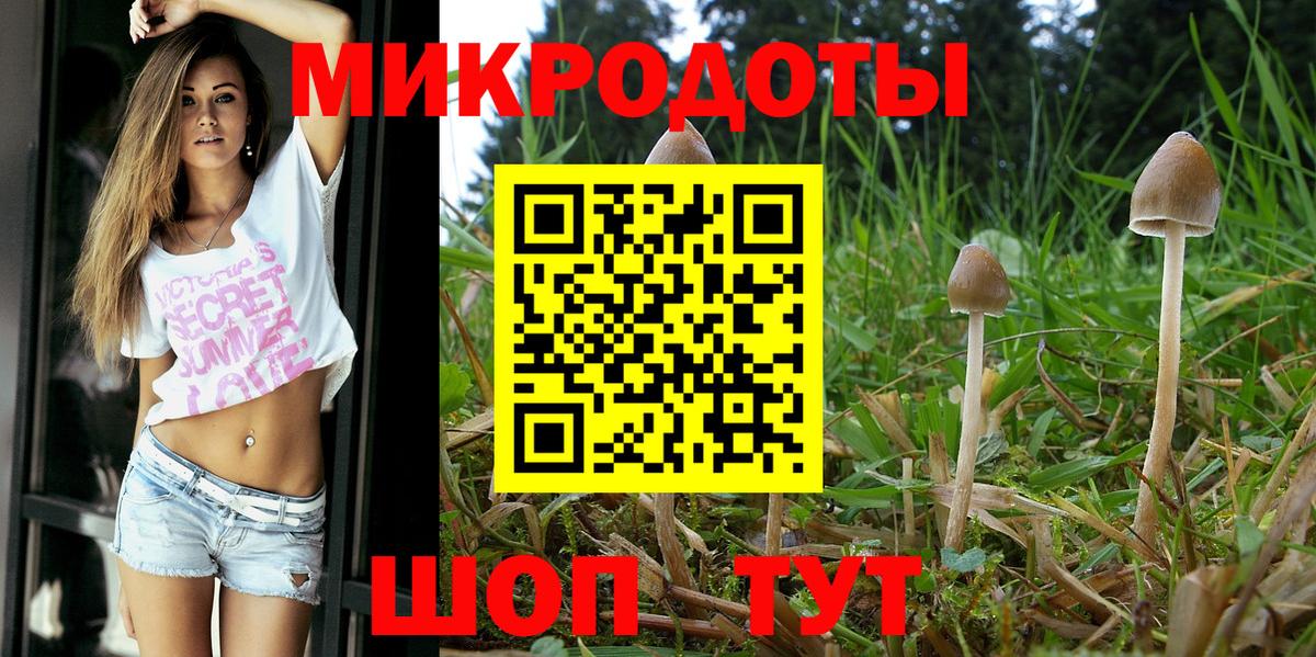 Галлюциногенные грибы Psilocybe Пыть-Ях